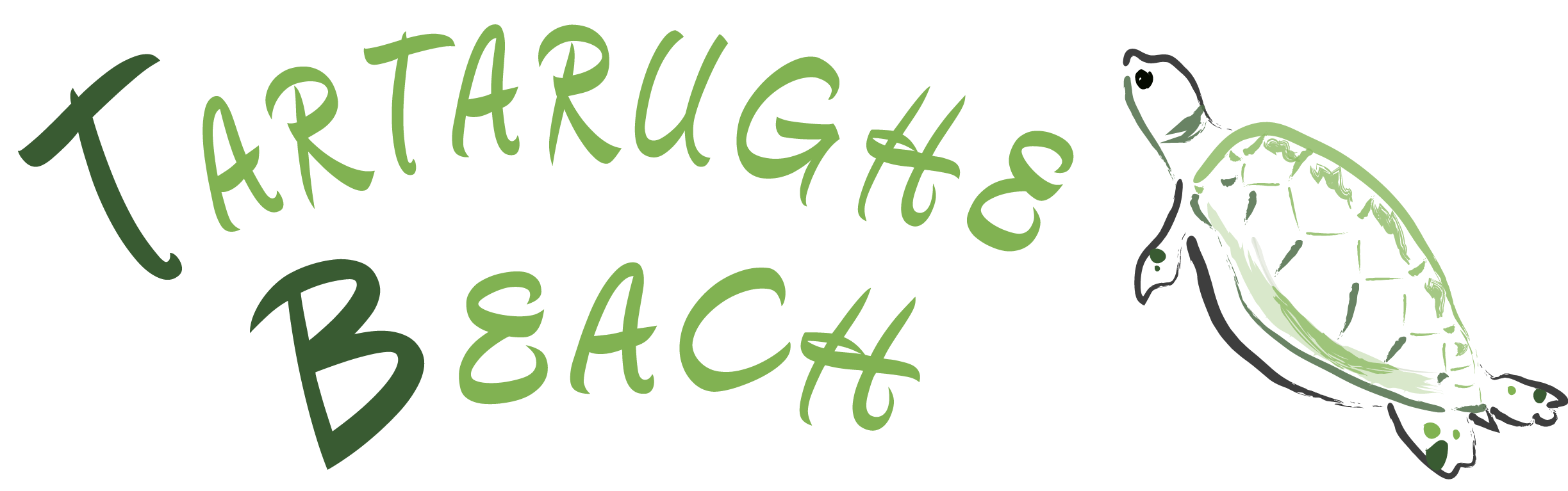 Logo Tartarughe Beach